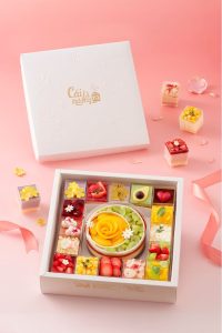 SWEETBOX LAYER PREMIUM